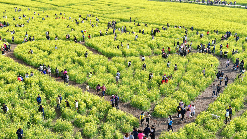 Daejeo Ecological Park, South Korea, 2016